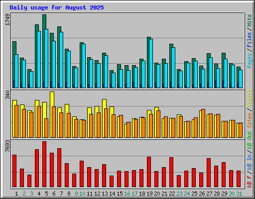 Daily usage for August 2025