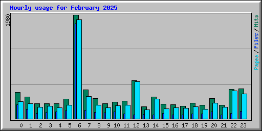 Hourly usage for February 2025
