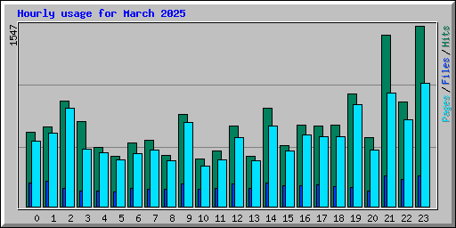 Hourly usage for March 2025